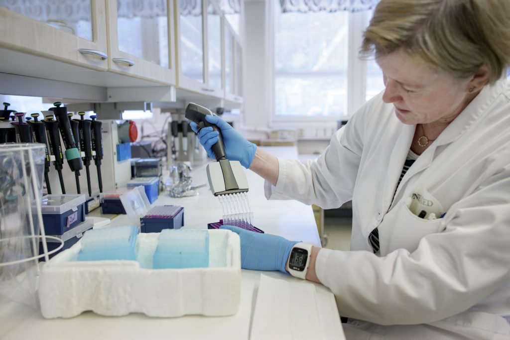 Laboratorioanalyytikko Jenni Koivisto-Kymäläinen eristää DNA:ta Boreal Kasvinjalostus Oy:n genomiikkalaboratoriossa, valokuva.