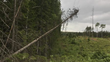 Myrsky, Järvi-Suomen Energia.